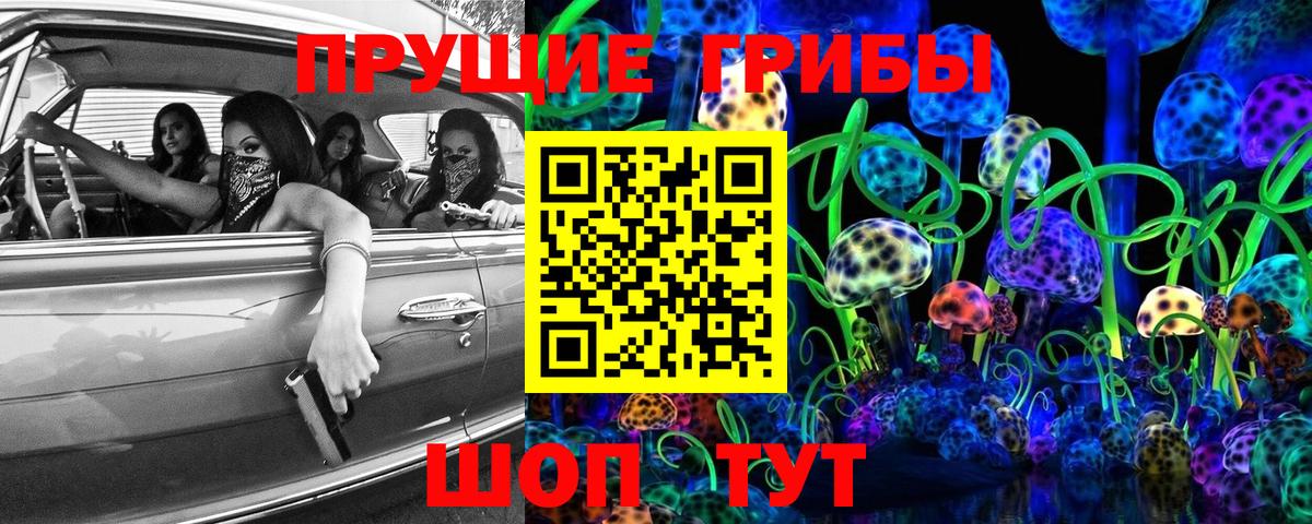 Галлюциногенные грибы GOLDEN TEACHER  Вход с VPN  Пушкино  Галлюциногенные грибы GOLDEN TEACHER 